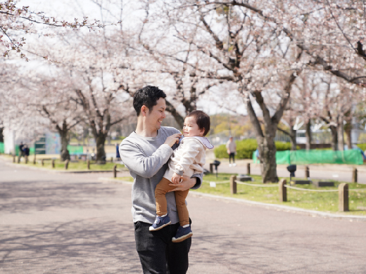 吹田万博記念公園 桜が満開でした